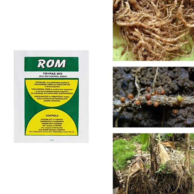 3 pcs of ROM Trichoderma Paecilomyces, for Wilt disease and nematode control